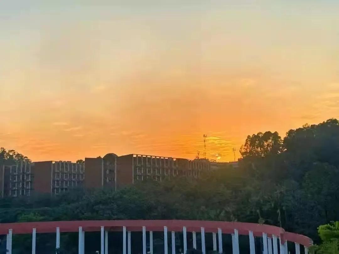 大学宿舍是四人间的宿舍有哪些,哪个大学宿舍四人间最好