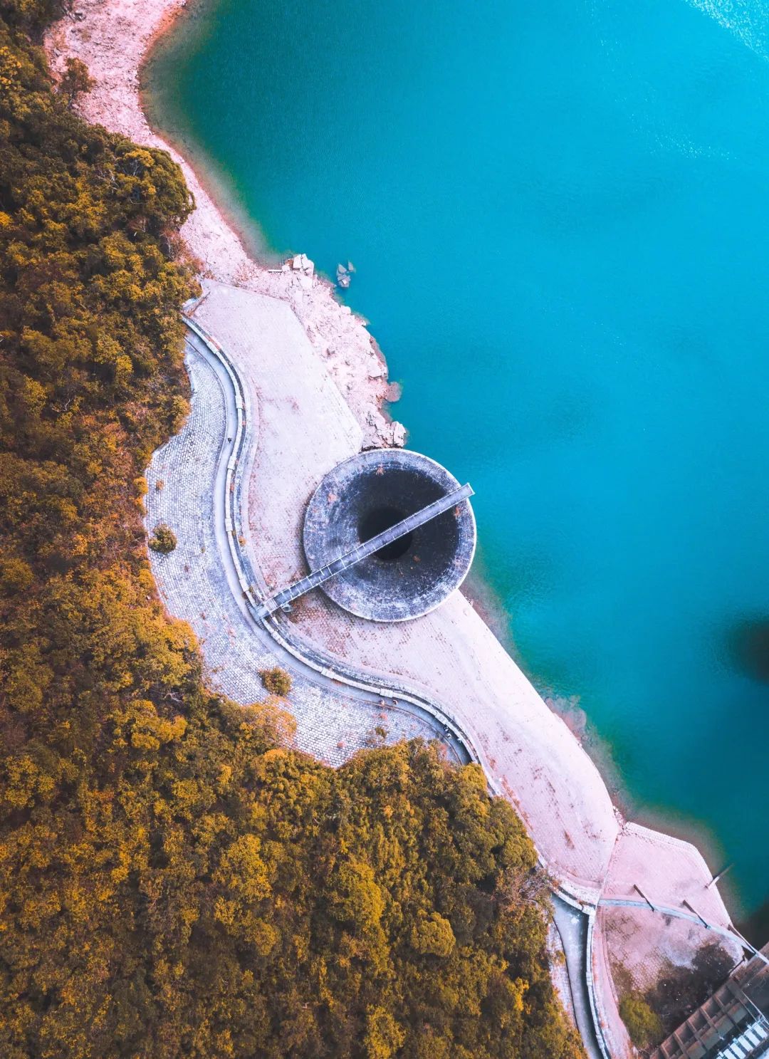 港百越野赛2023什么时候开始,港百越野赛国内选手实战表现