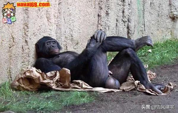 男性为什么脆弱,为什么男性那么脆弱