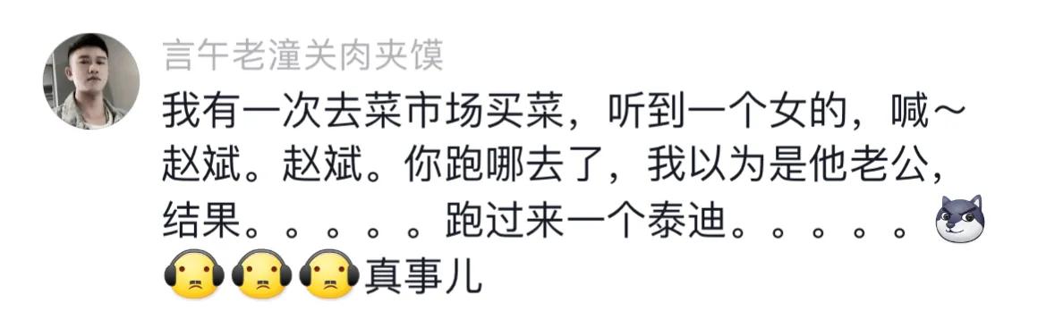 千万别给宠物取个名字,取一个仙气的宠物名字