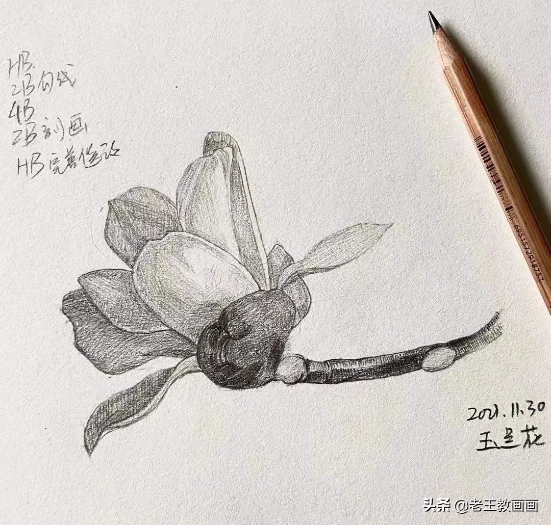 画画教程7-12岁画动漫人物新手,学画画三岁