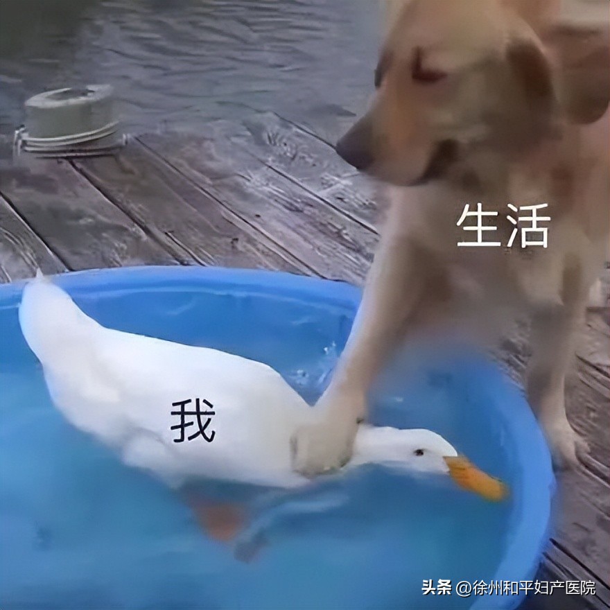 做了包皮手术多久可以开车,割包皮可以自己开车去吗