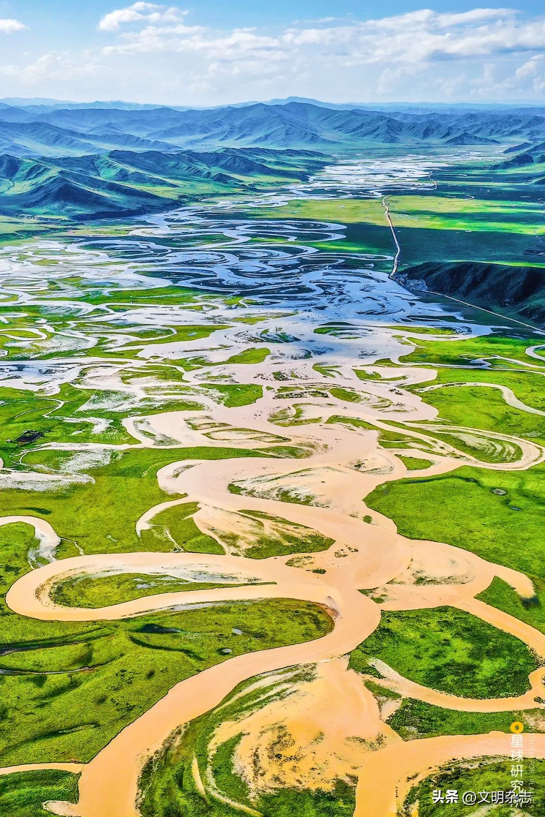 兔子来阳台,兔子来到新家