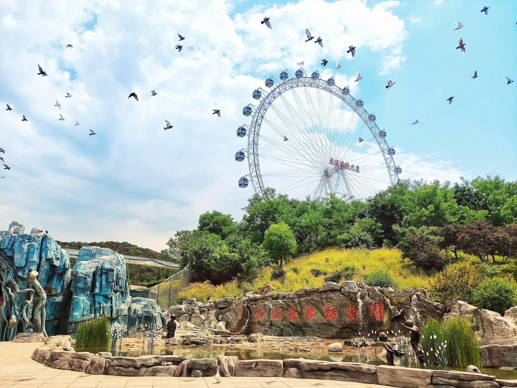 大连旅游必去景点排名亲子,大连冬天旅游必去景点排名