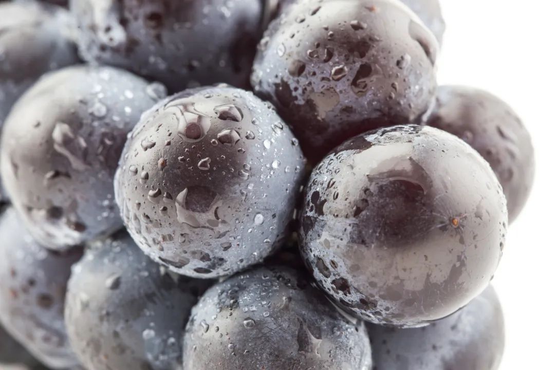 水果店老板不让挑水果,果农不会告诉你的挑水果技巧