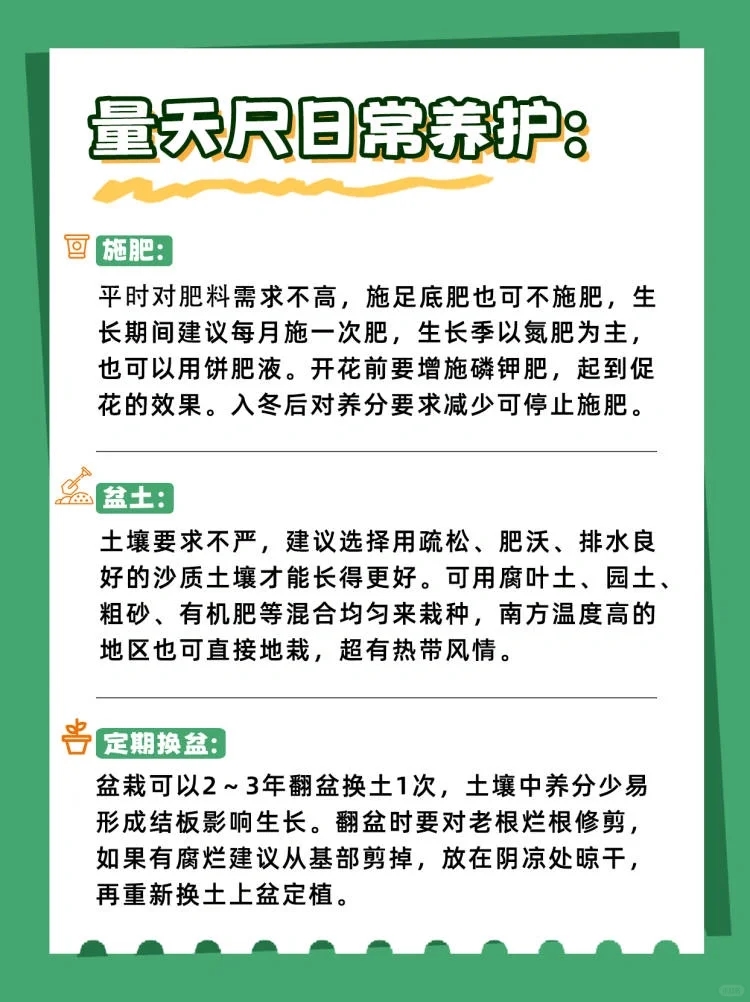 量天尺冬天养护方法,量天尺的寓意及养护