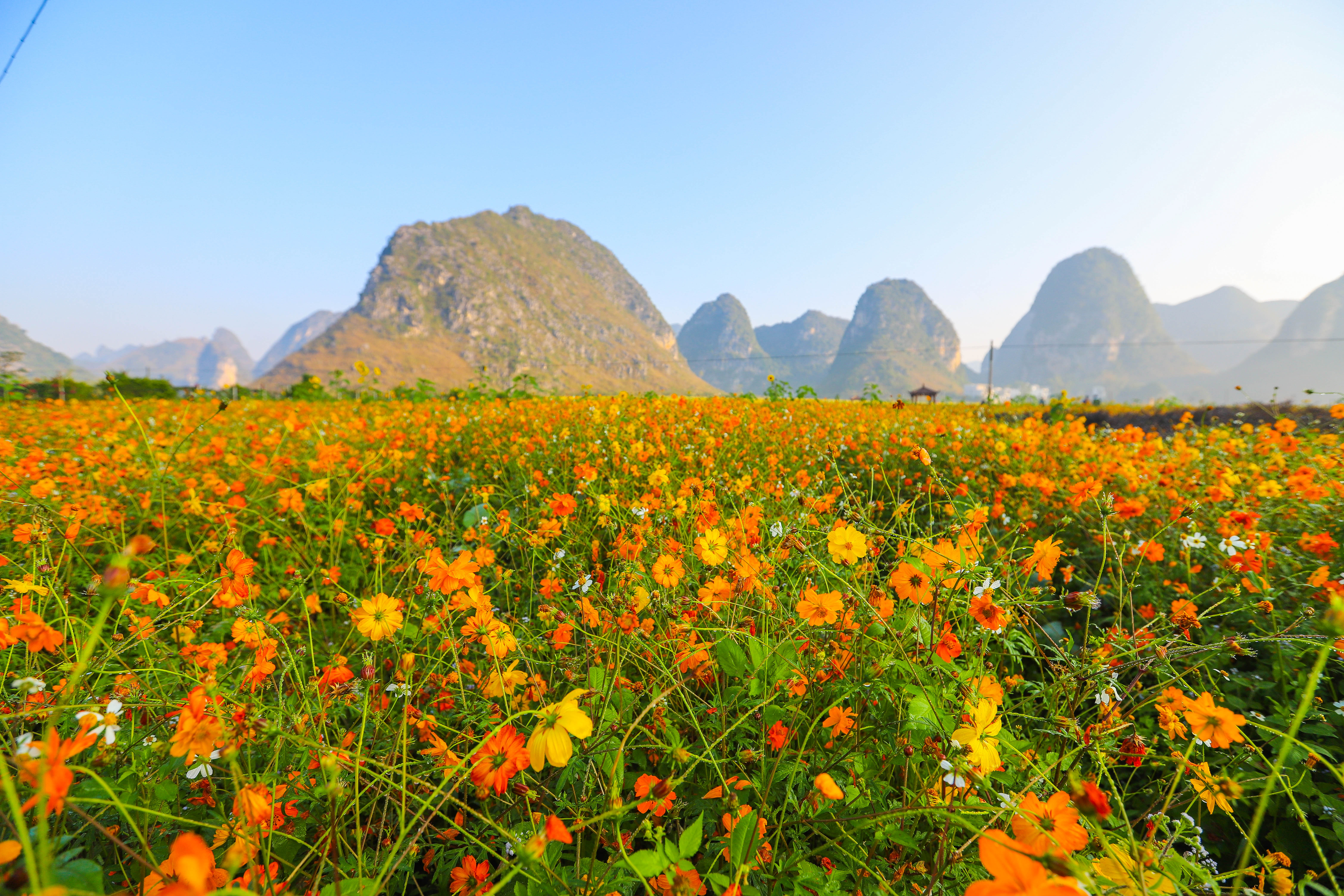 广西最美的旅游小镇,广西春天赏花
