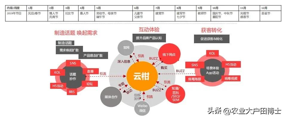 沃柑品牌策划核心竞争力如何提高,沃柑品牌推荐