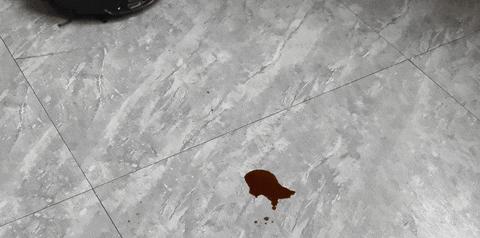 11000Pa吸力！石头G20S机械臂扫拖机器人，让你告别灰尘困扰