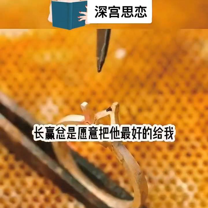 深宫思恋#宝藏小说#古言#古言小说推荐@抖音短视频