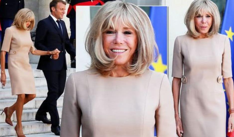 法国第一夫人穿lv,法国第一夫人的戒指