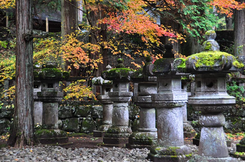 日本清酒品尝视频,日本高端清酒品鉴视频