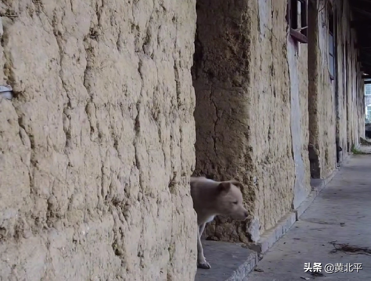 四川三线兵工厂306厂,四川华蓥山的三线军工厂