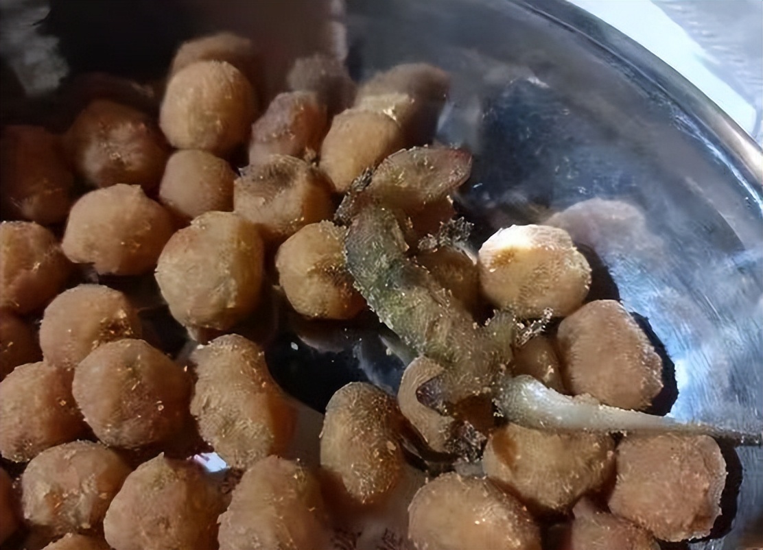 市值暴跌、资本逃离、口碑翻车：当红国民零食第一股，跌落神坛？