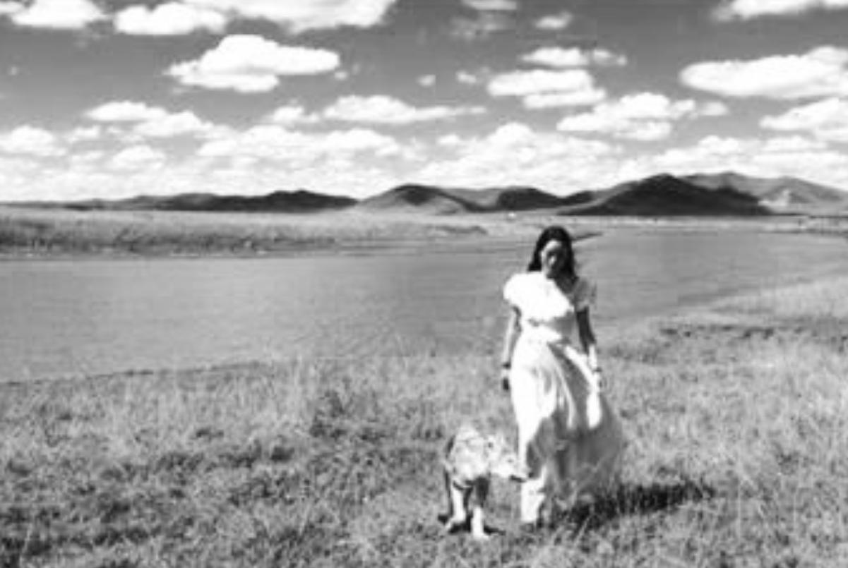 12年前把狼带回家当儿子,12年前成都女孩把狼儿带回家