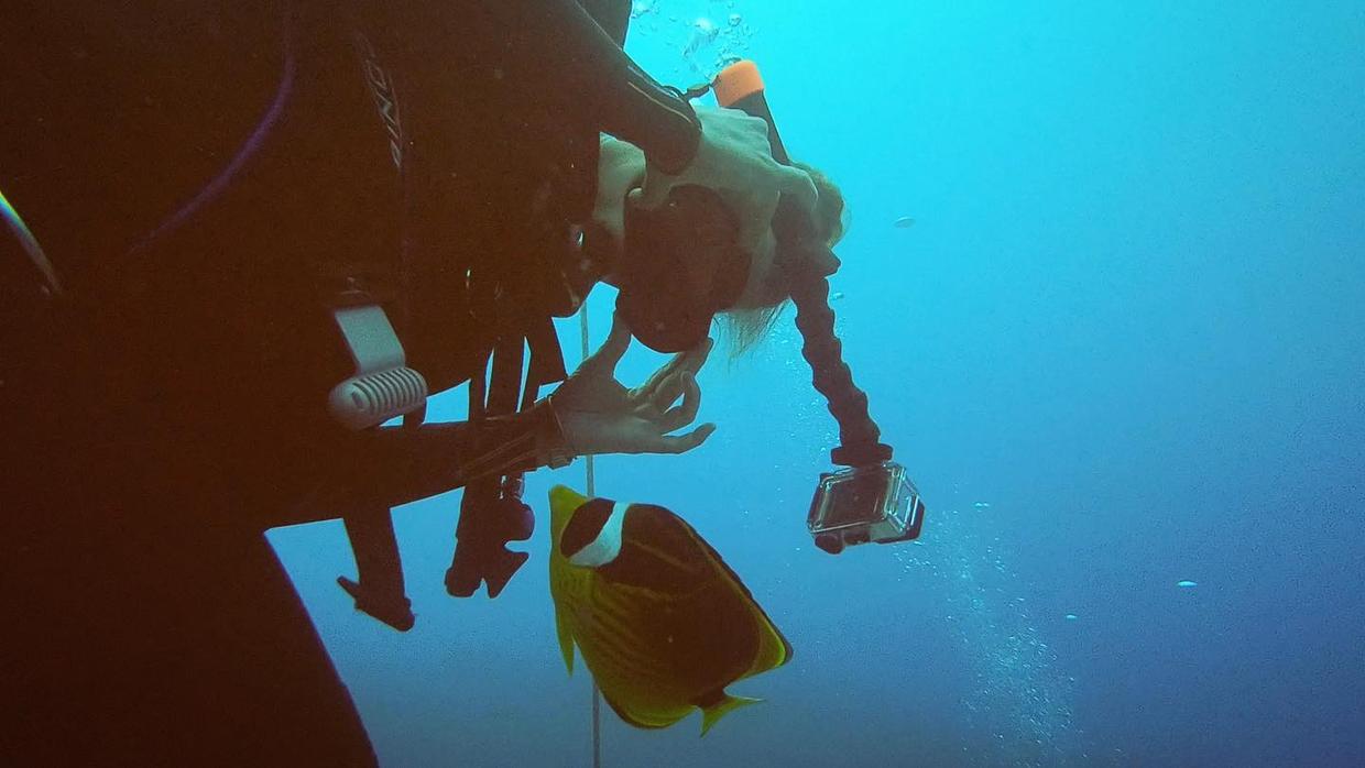 国外美女姐姐海里偶遇一只小鱼，竟引发神奇友谊！网友：前世情人