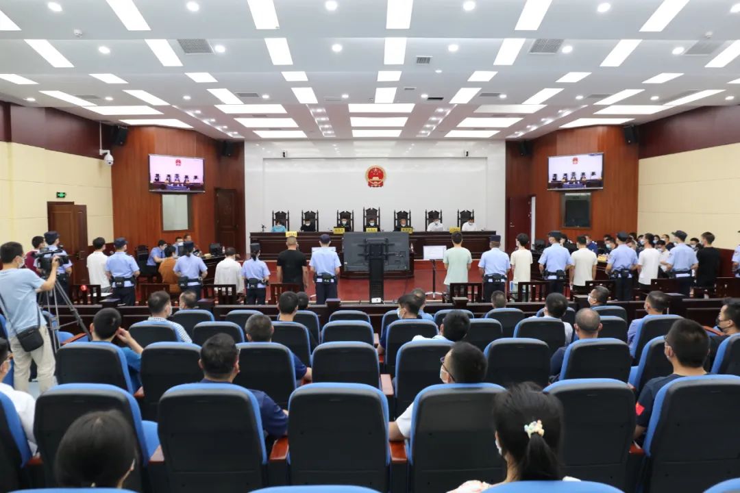 宜昌市安琪酵母造假案件判决结果,安琪酵母造假案杨某一审判决