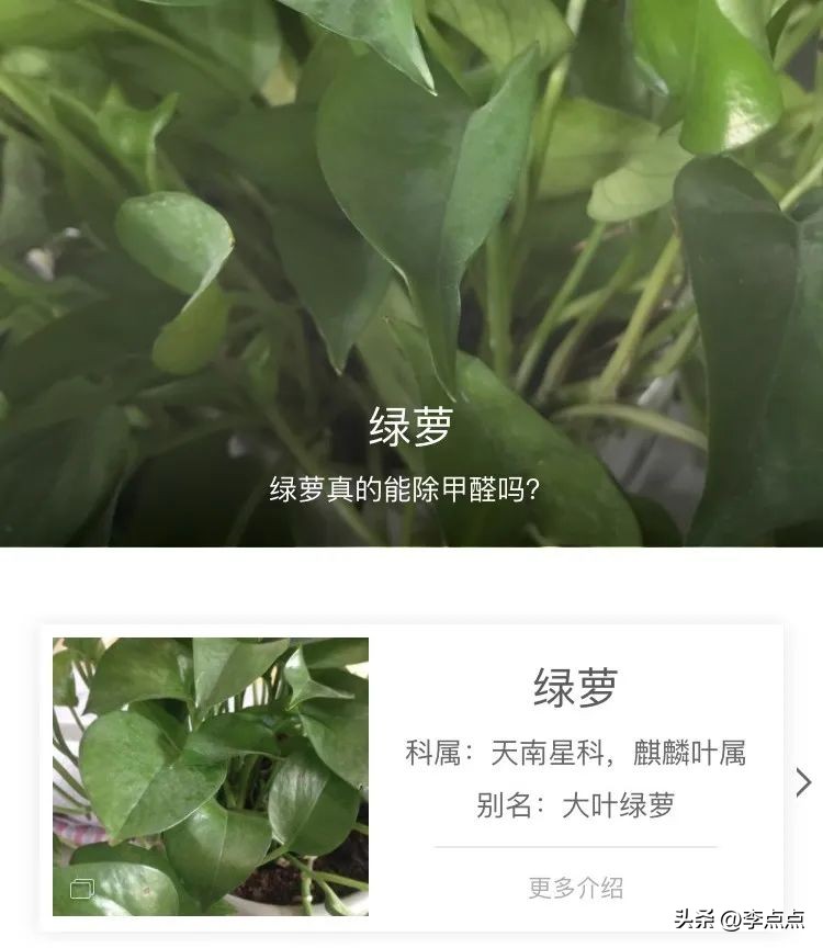 好后悔,知道得太晚了!这9个语数外宝藏小程序,学霸娃们都在用