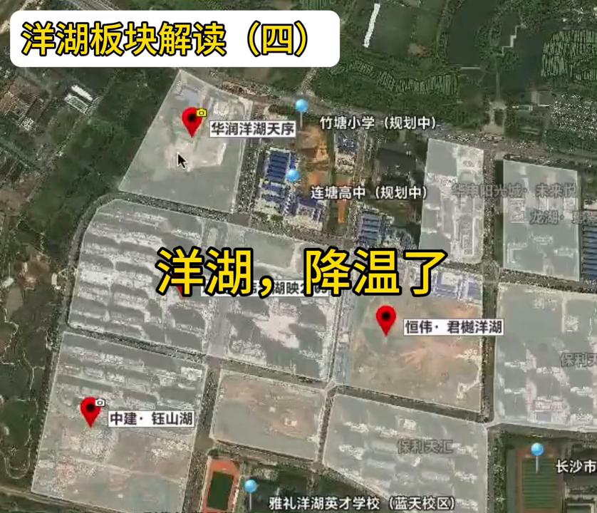 你不知道的洋湖板块,洋湖现状