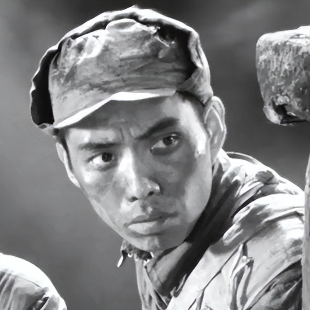 关于革命的小说红日简介,长篇小说红日沈振新的原型是谁