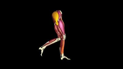 足球运动员的大腿肌肉有多放松,世界杯足球员的腿到底有多强壮