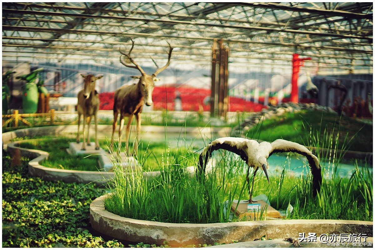 潍坊夏季避暑休闲山庄,潍坊周边避暑自驾游