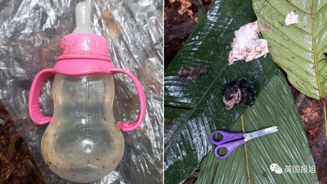 13岁奇迹女孩坠机后带弟妹丛林求生40天,竟是因被继父长期性侵