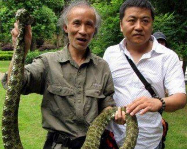 1989年，他发现价值百万的莽山烙铁头，被咬20多次，如今生活怎样