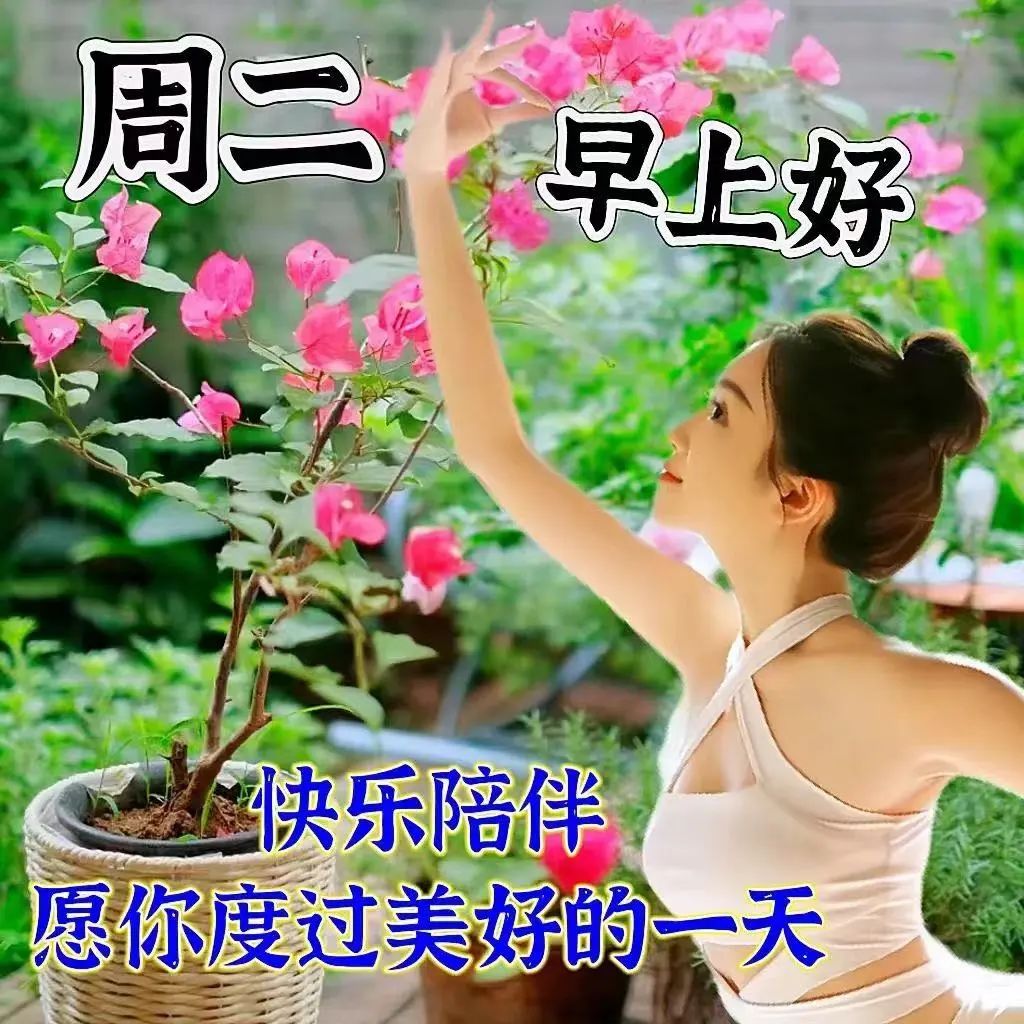 早安心语温馨句子正能量励志图片,新的开始早安励志语录正能量图片