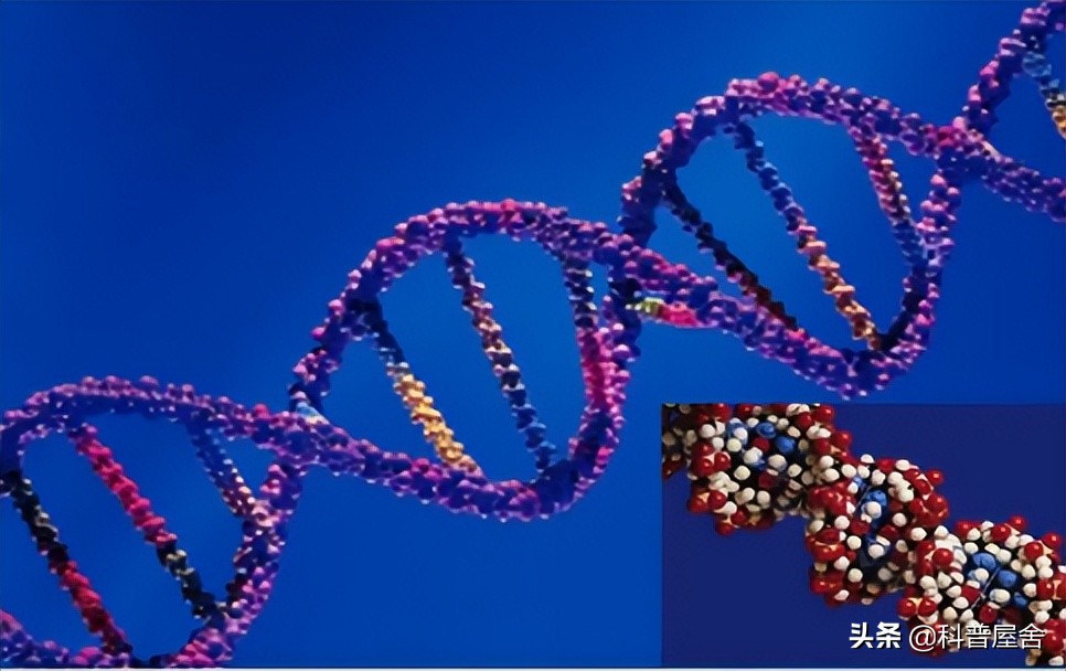 证明神存在的例子,证明神存在的理论