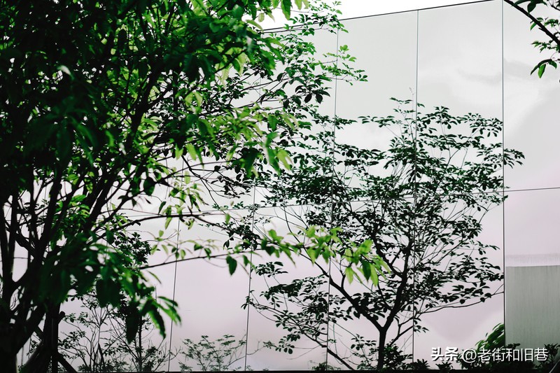 罗生门和黄粱梦,罗生门香港live