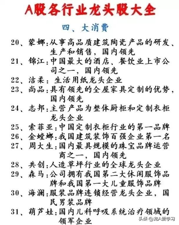 最新行业龙头股票一览表,最新行业龙头股附表