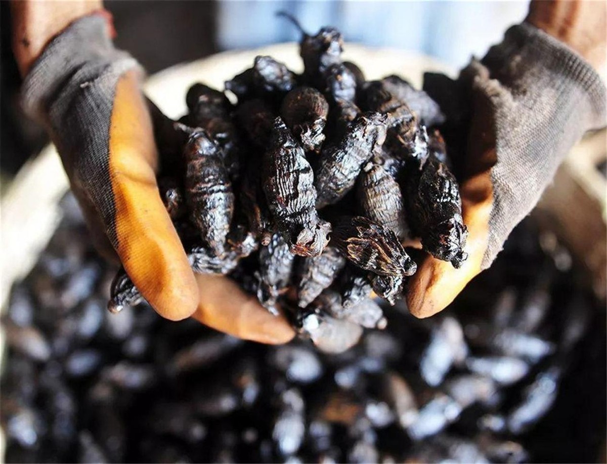 一级致癌物的槟榔危害有多大,槟榔是国际公认的致癌物