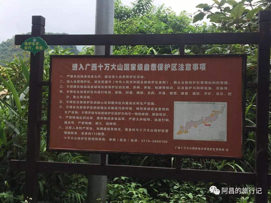 广西十万大山国家森林公园,广西十万大山国家森林公园图片