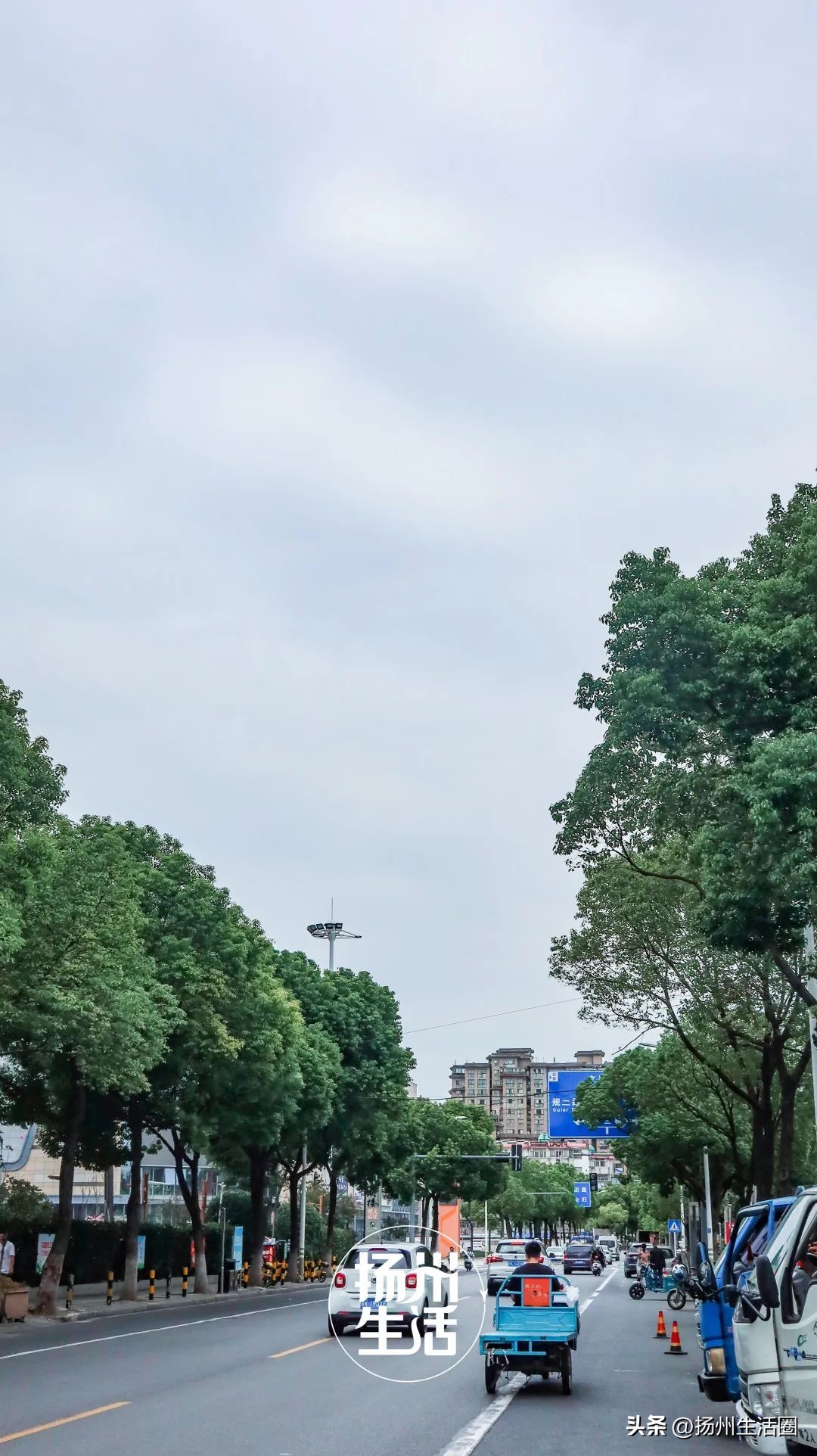 东区内卷之王，观潮路