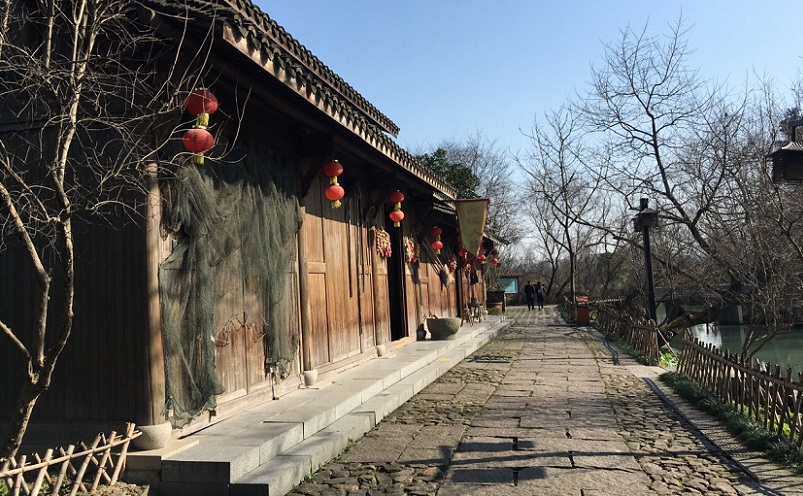 杭州旅游必去十大景点推荐一下,杭州看花好去处杭州网红景点