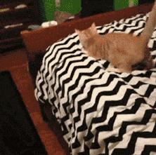 妹子，你的背的包很别致啊，旁边兄弟盯得眼都直了，哈哈哈哈哈哈