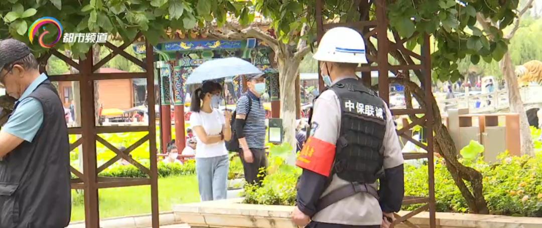 精心打扮出去拍照,大观公园荷花拍照技巧