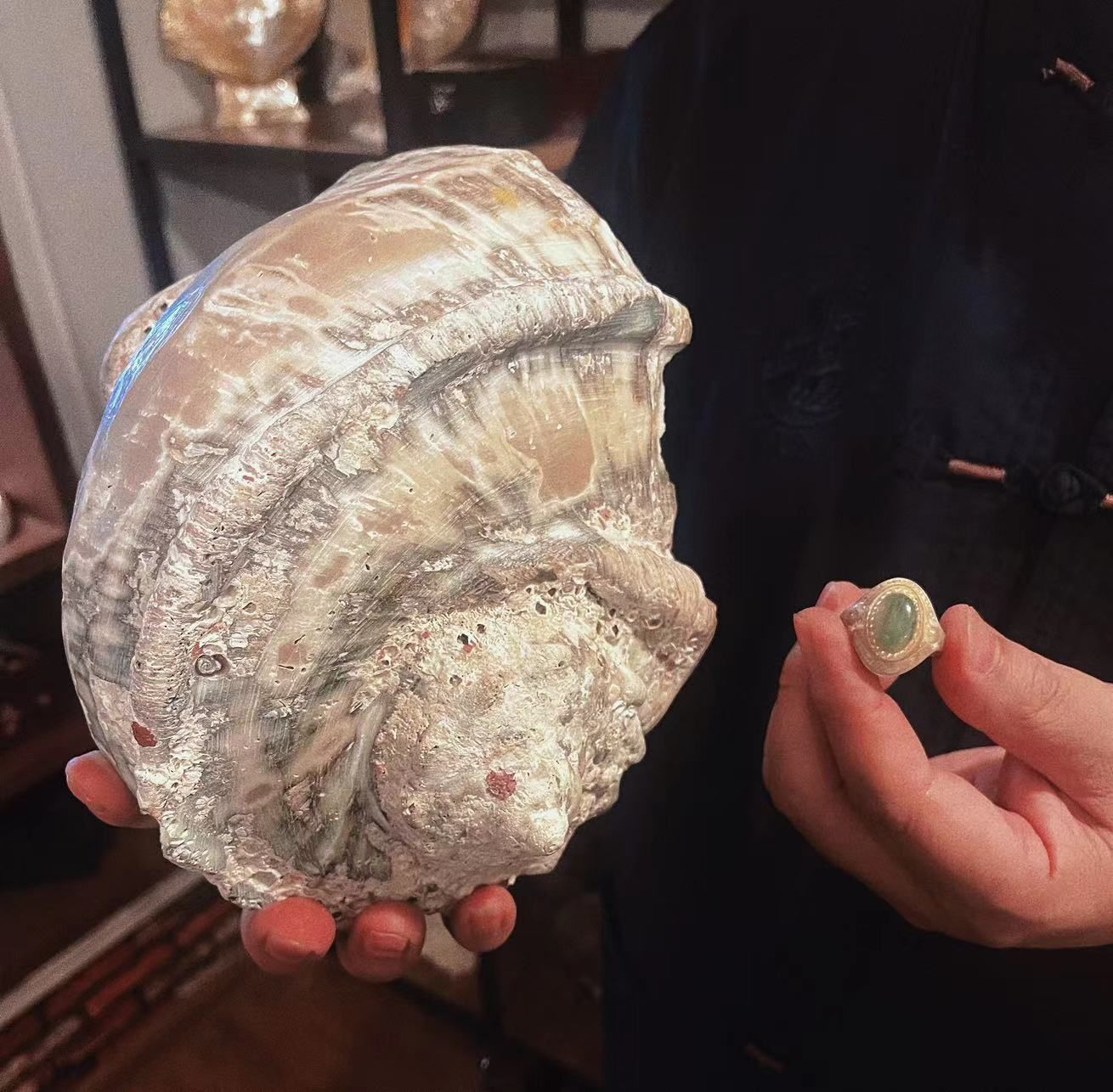 青岛贝雕非遗项目,青岛贝雕是什么