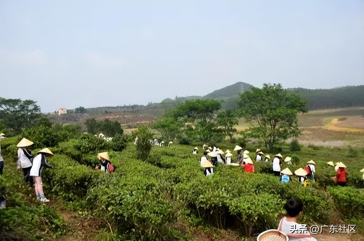 春季国内观鸟热门地,这份观鸟地图请收好