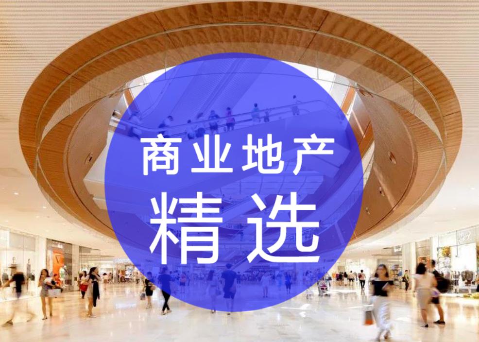 商业地产招商经理需要会什么,商业地产招商经理个人工作总结