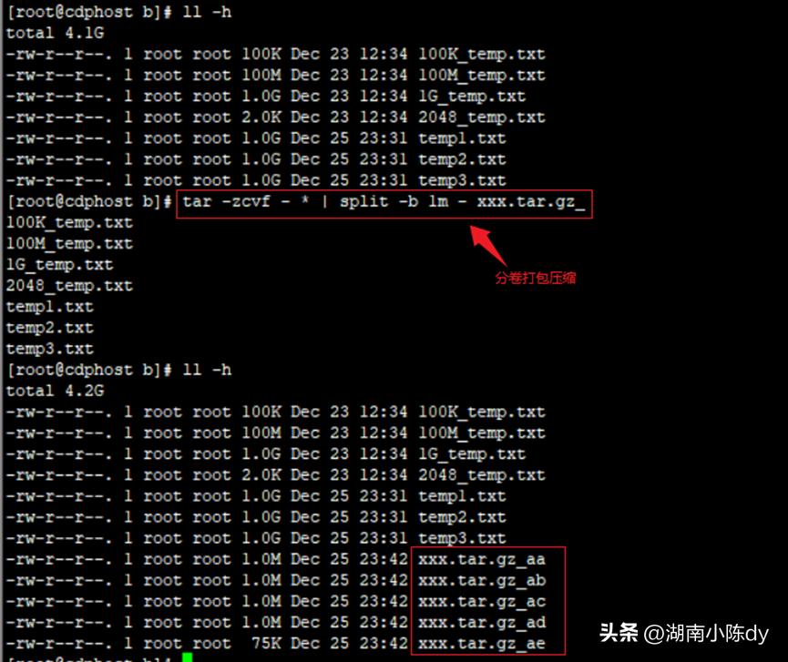 100个常用linux命令,linux常用监控命令详解