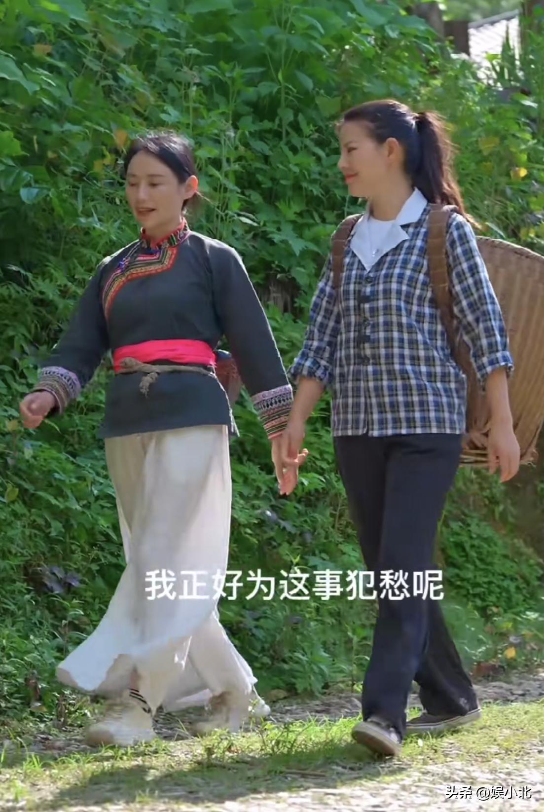 李子柒消失了,李子柒消失2年后终于轮到她火了