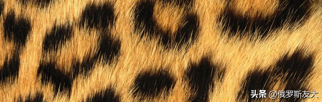 简单而不简约的时尚,简单但不简约时尚风格