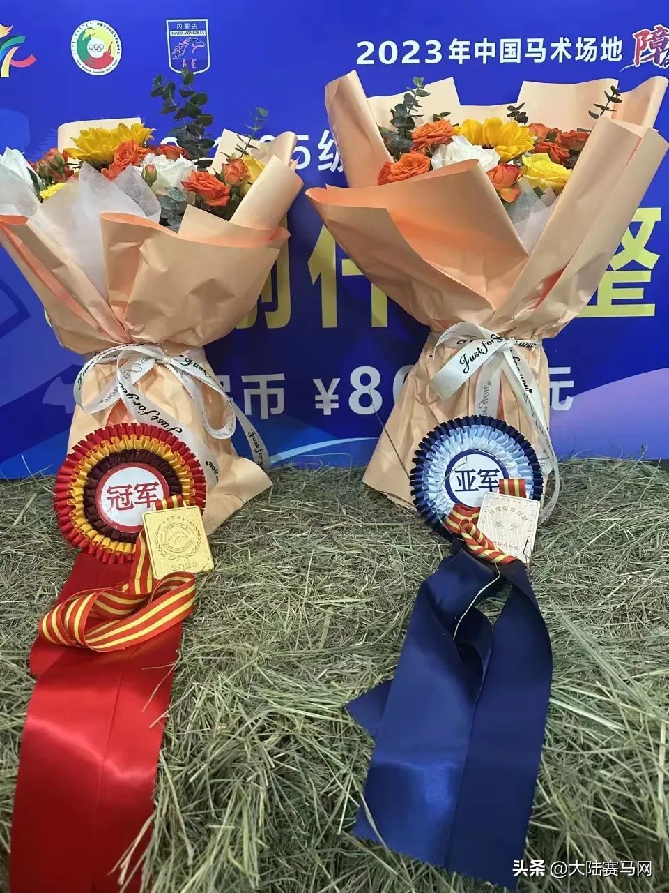 2024年中国马术场地障碍冠军北京,中国马术场地障碍年终总决赛打响
