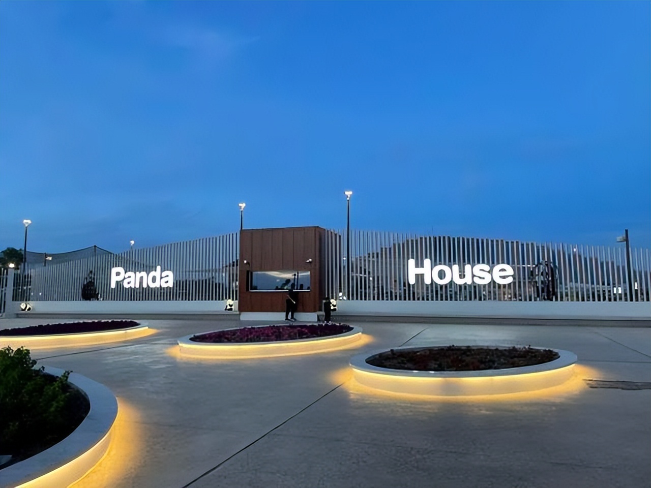 在美国大熊猫回国了吗,目前旅居国外的大熊猫有哪些