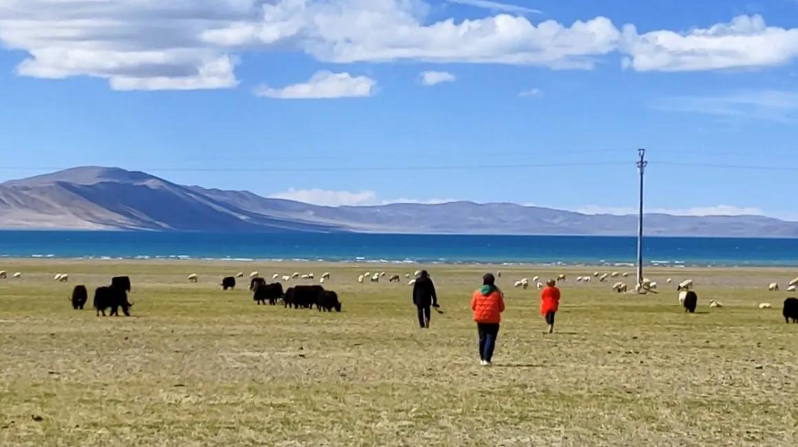你准备好了去*藏西**吗？我有几项抗高反的建议，希望对你有帮助