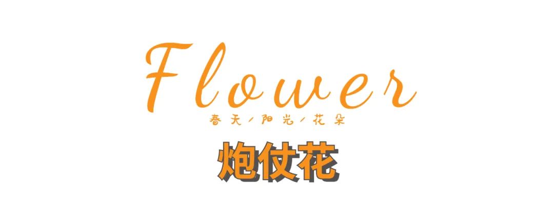 惠州拍照好看的推荐,惠州拍写真的地方推荐