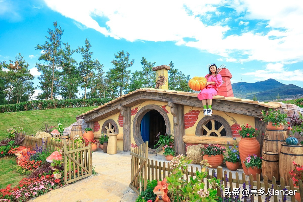 家庭农场：是否能成为乡村致富的新风口？