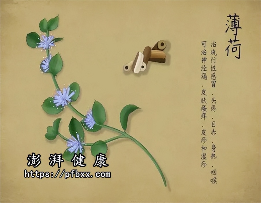 洗完澡后胳膊起皮红斑刺痛,胳膊起红疹不痛不痒怎么回事